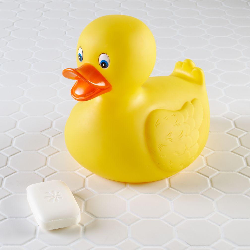 Monster Duck Show